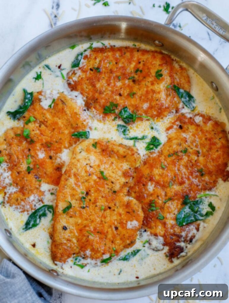 Plated seared chicken breasts generously covered in a luscious parmesan cream sauce.