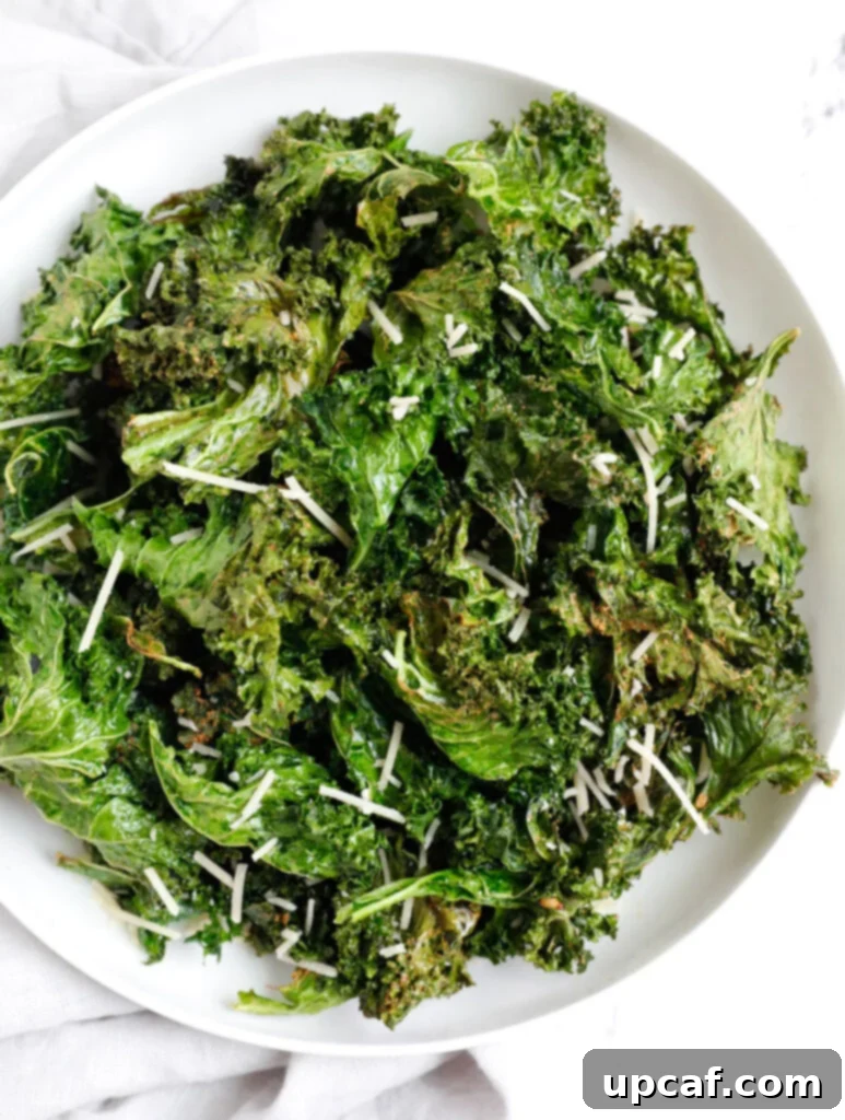 Air-Fried Kale: Your Crunchy Snack Fix 2 Crispy kale chips in a plate, perfectly seasoned and ready to eat.
