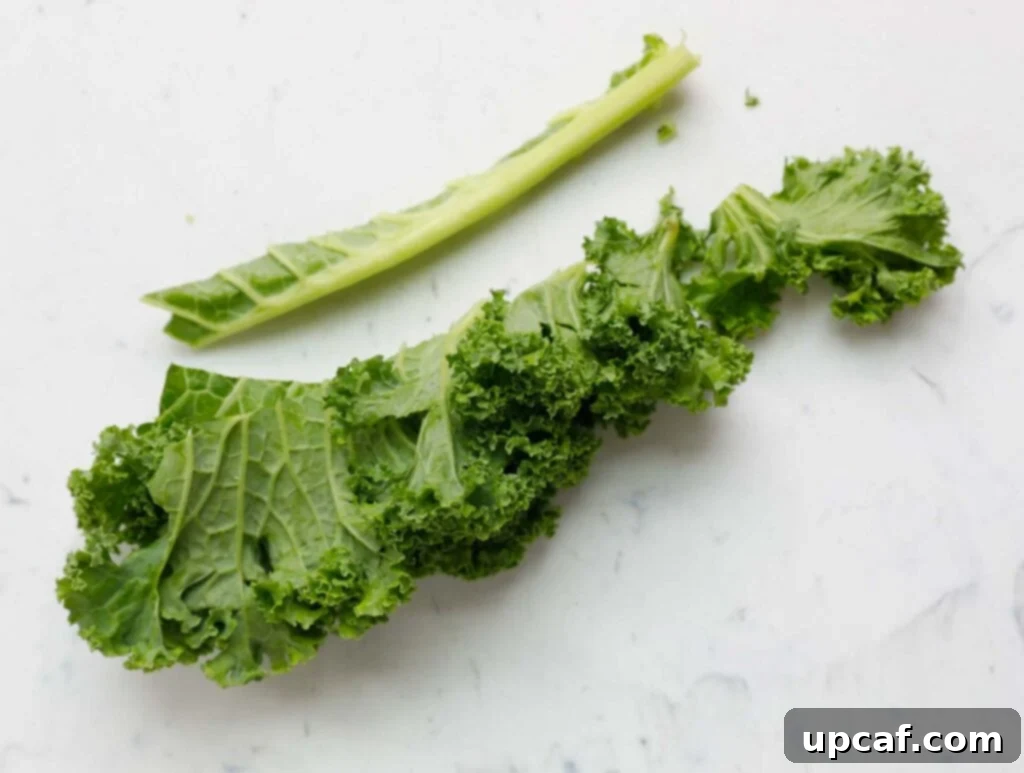 Air-Fried Kale: Your Crunchy Snack Fix 4 Step-by-step image demonstrating the proper technique to remove the tough, central stem from kale leaves before cooking.