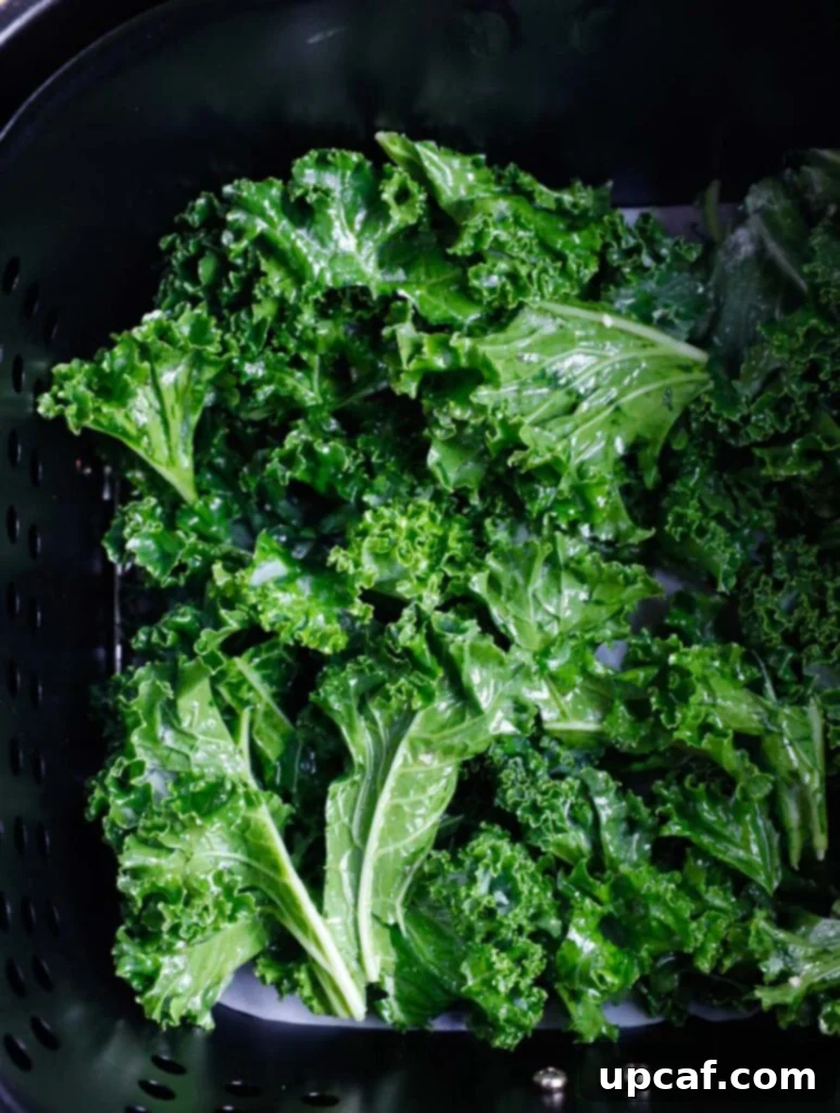 Air-Fried Kale: Your Crunchy Snack Fix 7 Kale leaves cooking in a single, even layer in an air fryer basket, achieving perfect crispness.