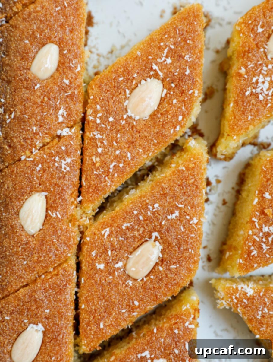 Close up of slices of Coconut Basbousa Cake arranged artfully on a white platter, revealing its moist texture and coconut topping.
