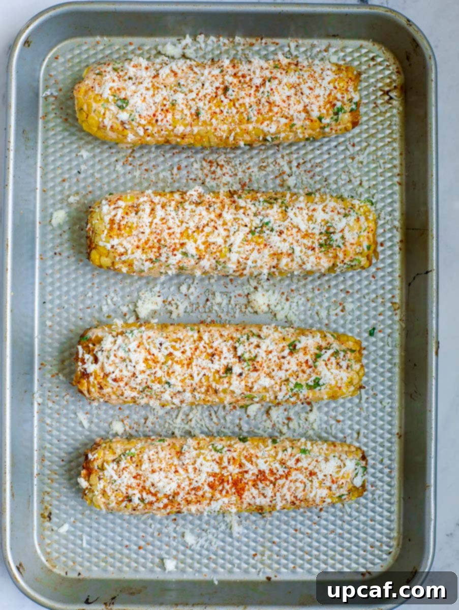 Authentic Mexican Elote 11 Mexican street corn on a plate with additional Tajín seasoning being sprinkled on top.