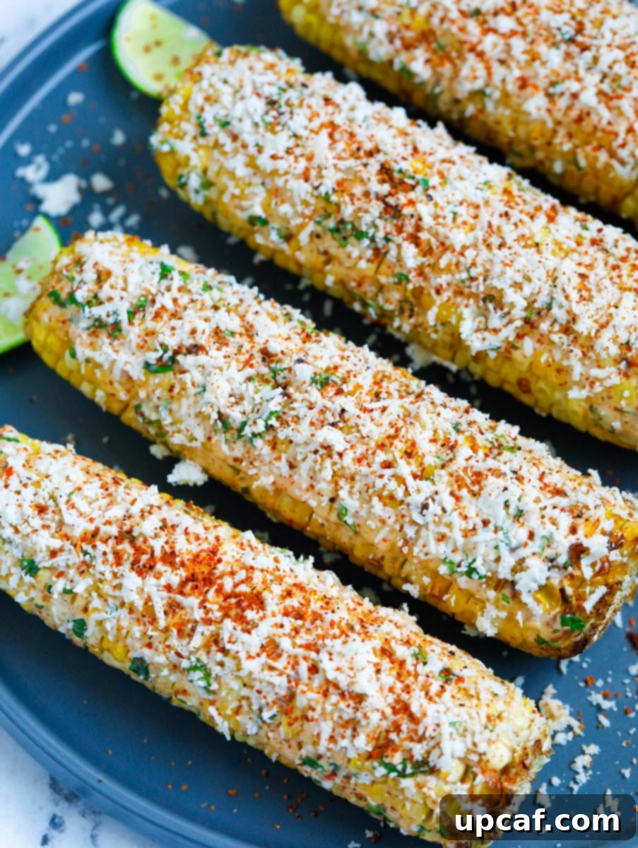 Authentic Mexican Elote 13 Delicious Mexican street corn on a plate, garnished with cotija cheese and Tajín seasoning.