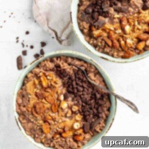 two chocolate bowls of oats topping with nuts and chocolate chips