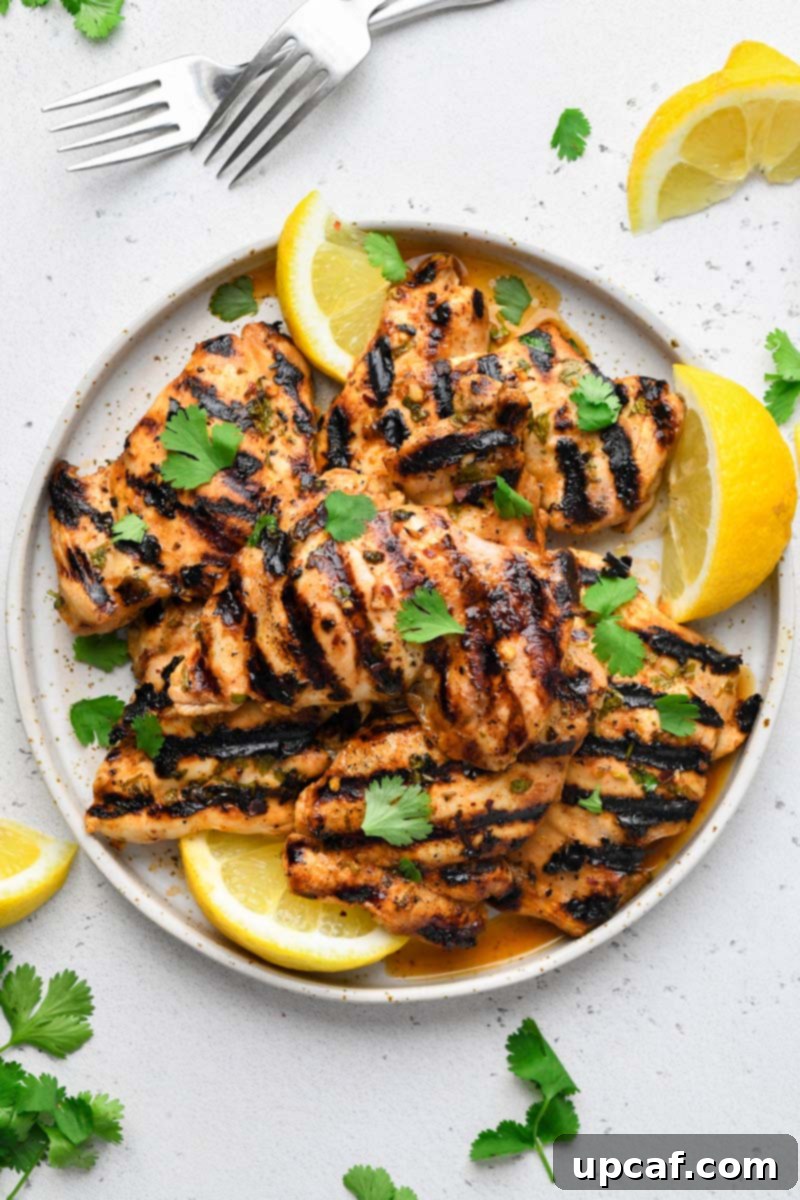 Zesty Grilled Cilantro Lime Chicken 2 top down shot of the grilled cilantro lime chicken