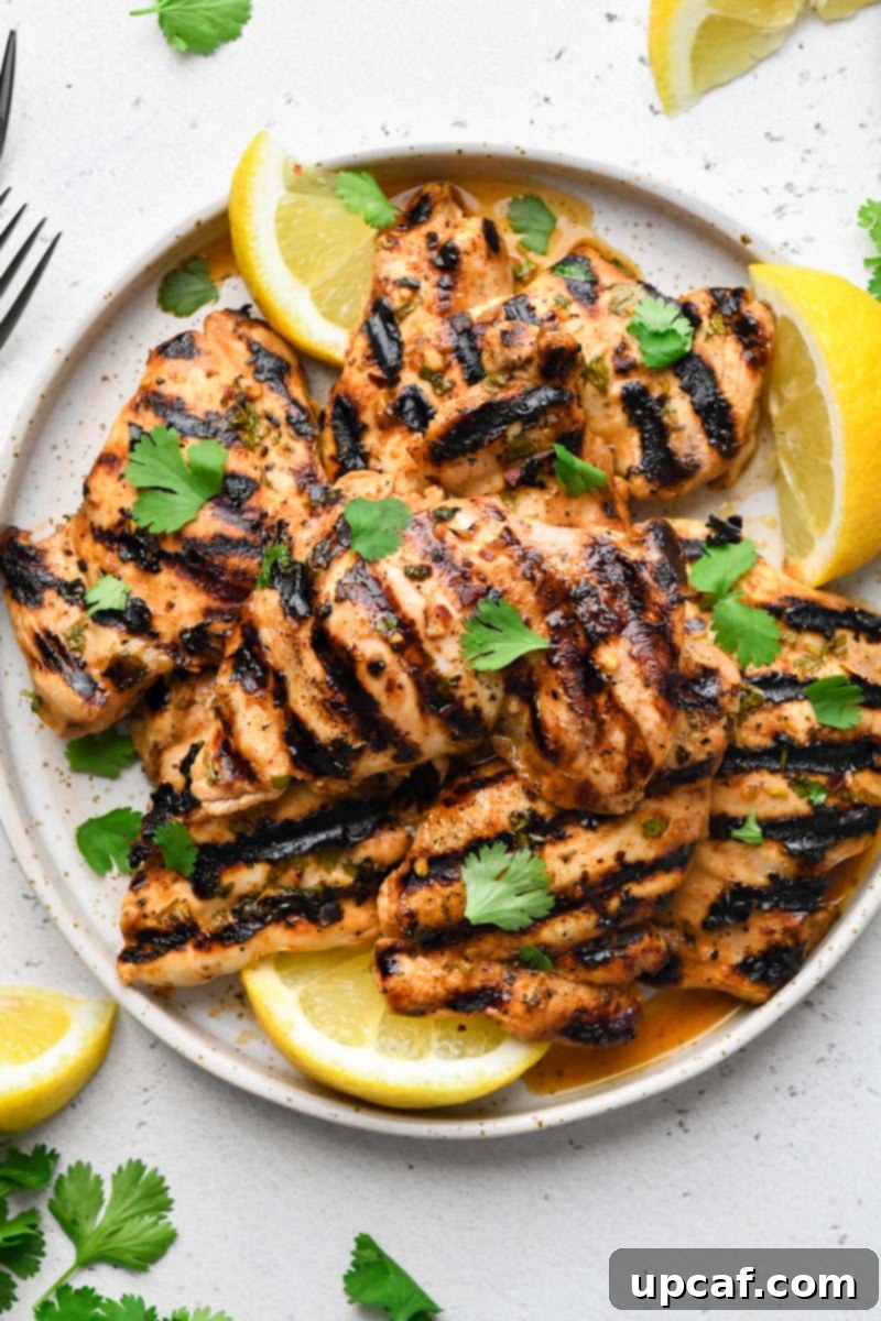 Zesty Grilled Cilantro Lime Chicken 6 top down shot of the grilled cilantro lime chicken