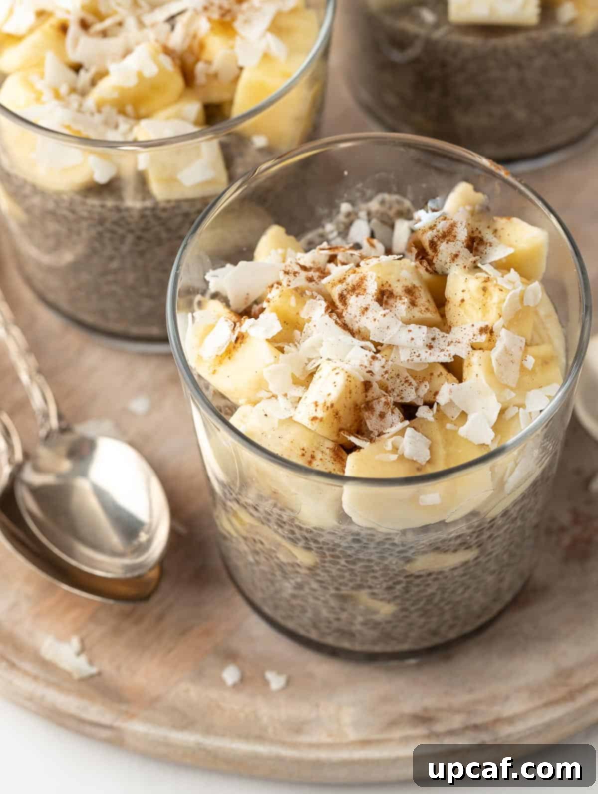 top down shot showing the finished chia pudding in a cup with banana slices, coconut flakes, and cinnamon as toppings