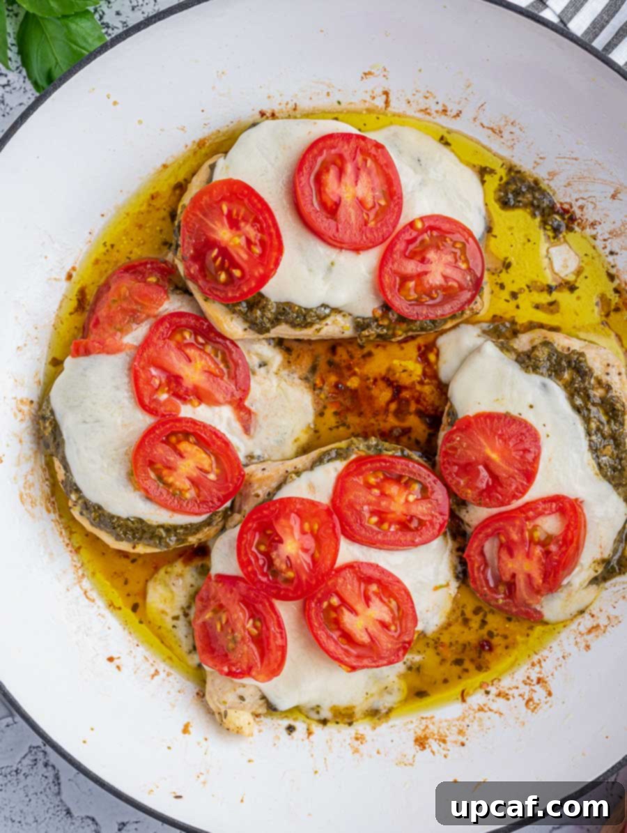 Top-down view of Caprese chicken in a skillet after baking, with melted cheese and tomatoes