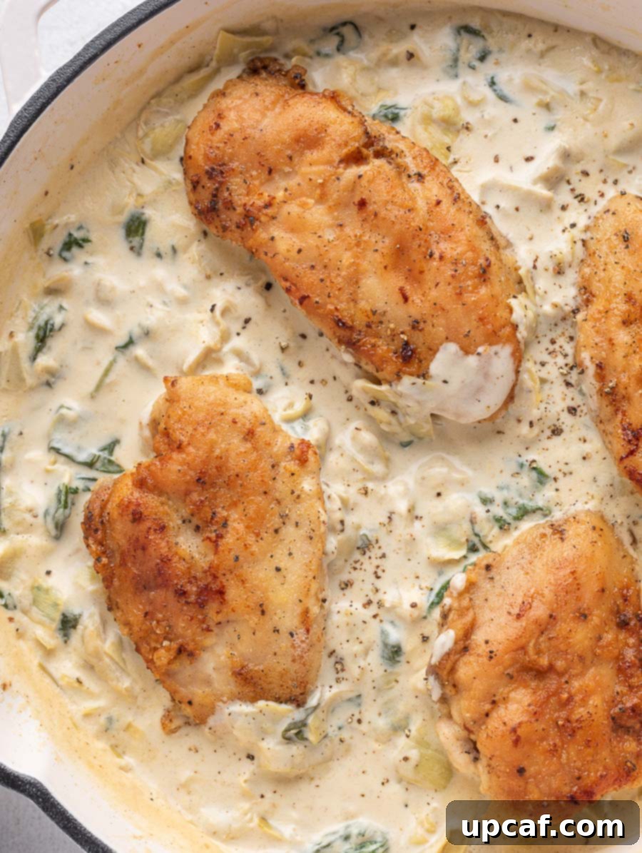 One-Pan Creamy Spinach Artichoke Chicken 2 top show shot of the creamy spinach artichoke chickenc