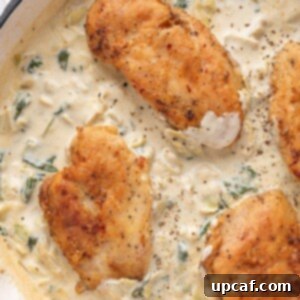 One-Pan Creamy Spinach Artichoke Chicken 10 top show shot of the creamy spinach artichoke chickenc