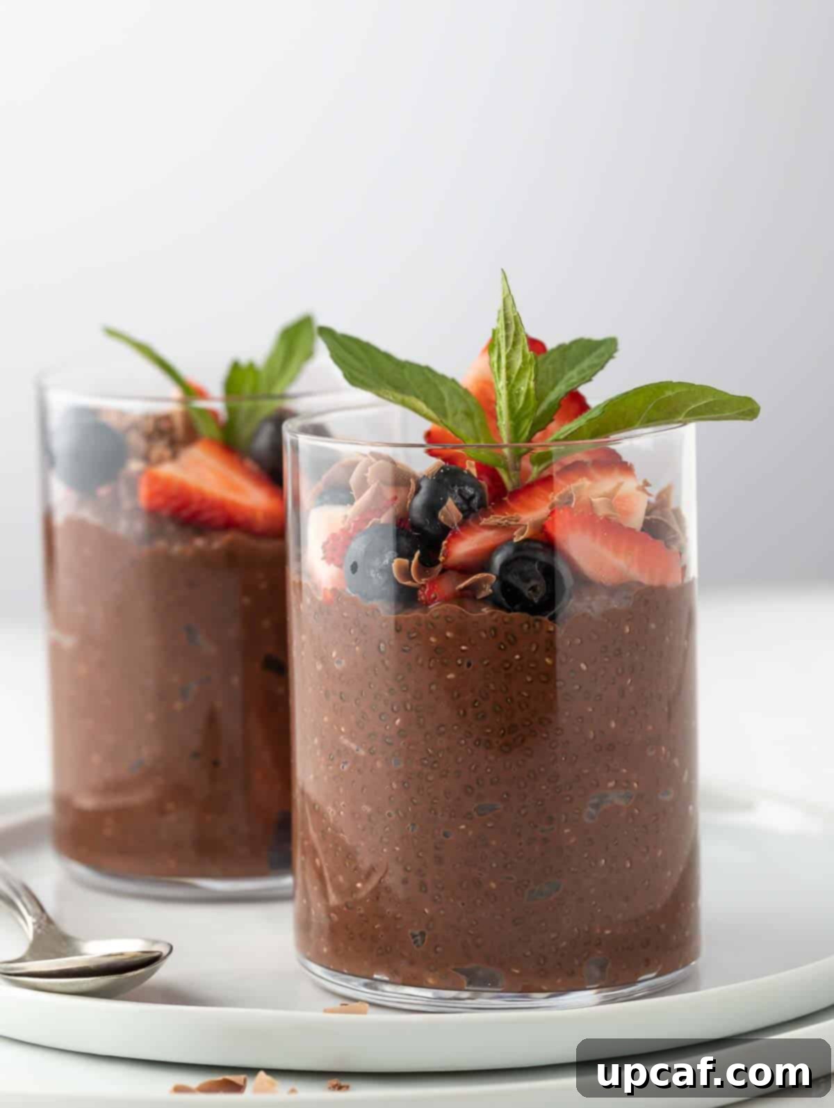 2 chia chocolate pudding topped with fruits