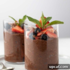 2 chia chocolate pudding topped with fruits