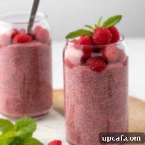 Vibrant Raspberry Chia Pudding 8 Raspberry Protein Chia Seed Pudding, topped with fresh raspberry and mint leaf on top served on a marble tray