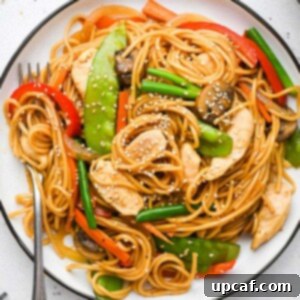 A vibrant plate of homemade chicken lo mein with a fork ready to enjoy.
