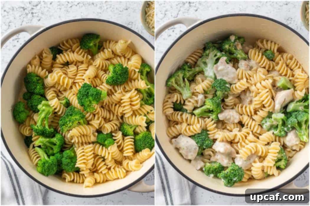 cooked pasta and broccoli added into the creamy chicken sauce