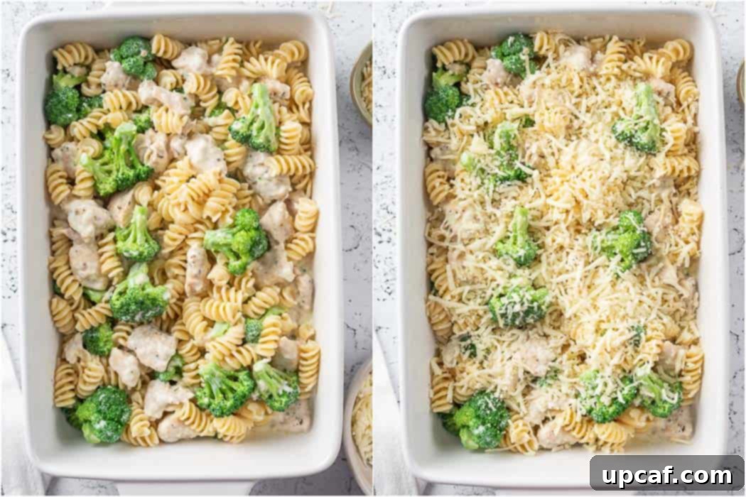 chicken and broccoli pasta in a white baking dish before and after adding cheese on top.