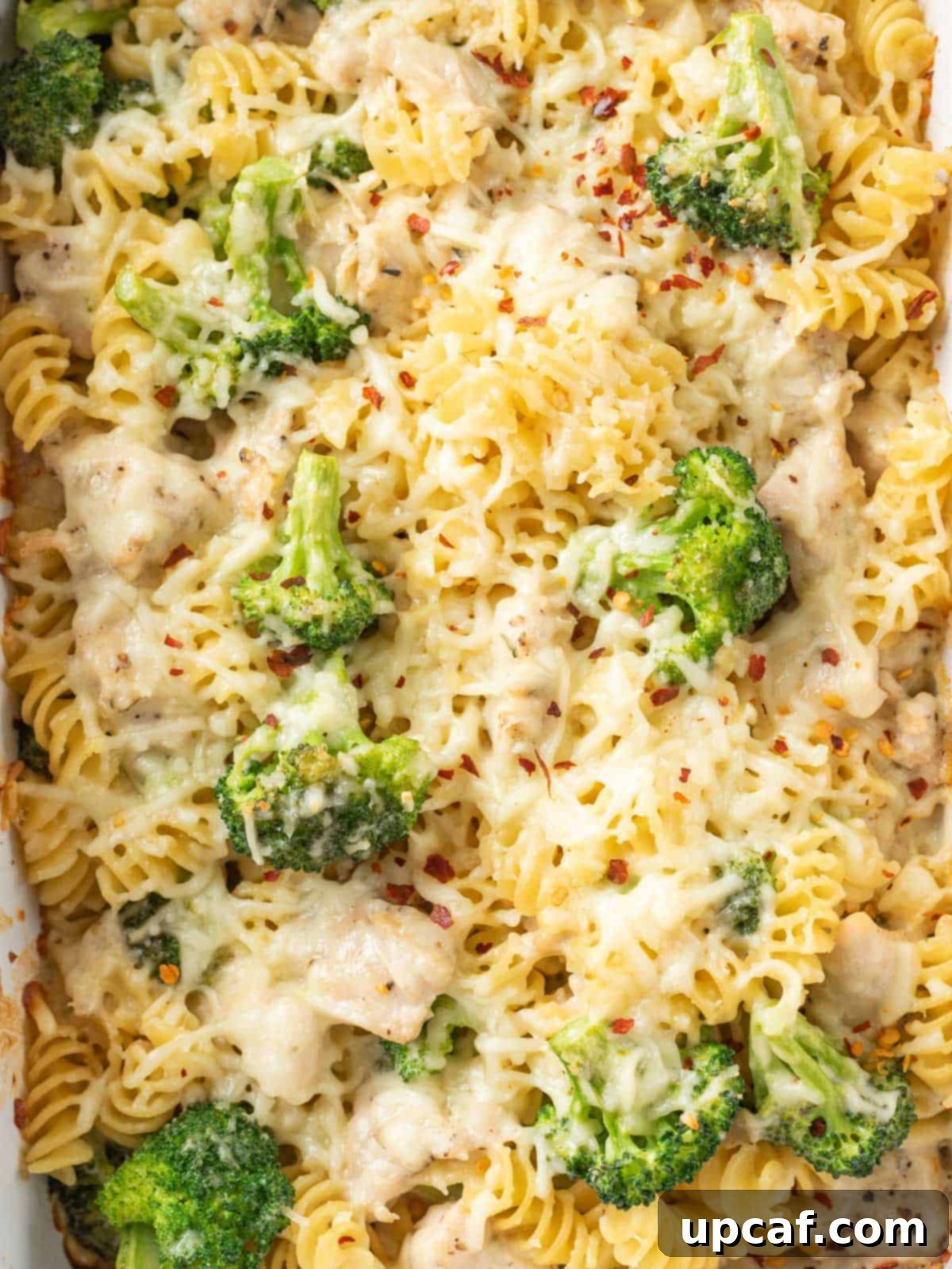 close up shot showing the chicken and broccoli pasta bake