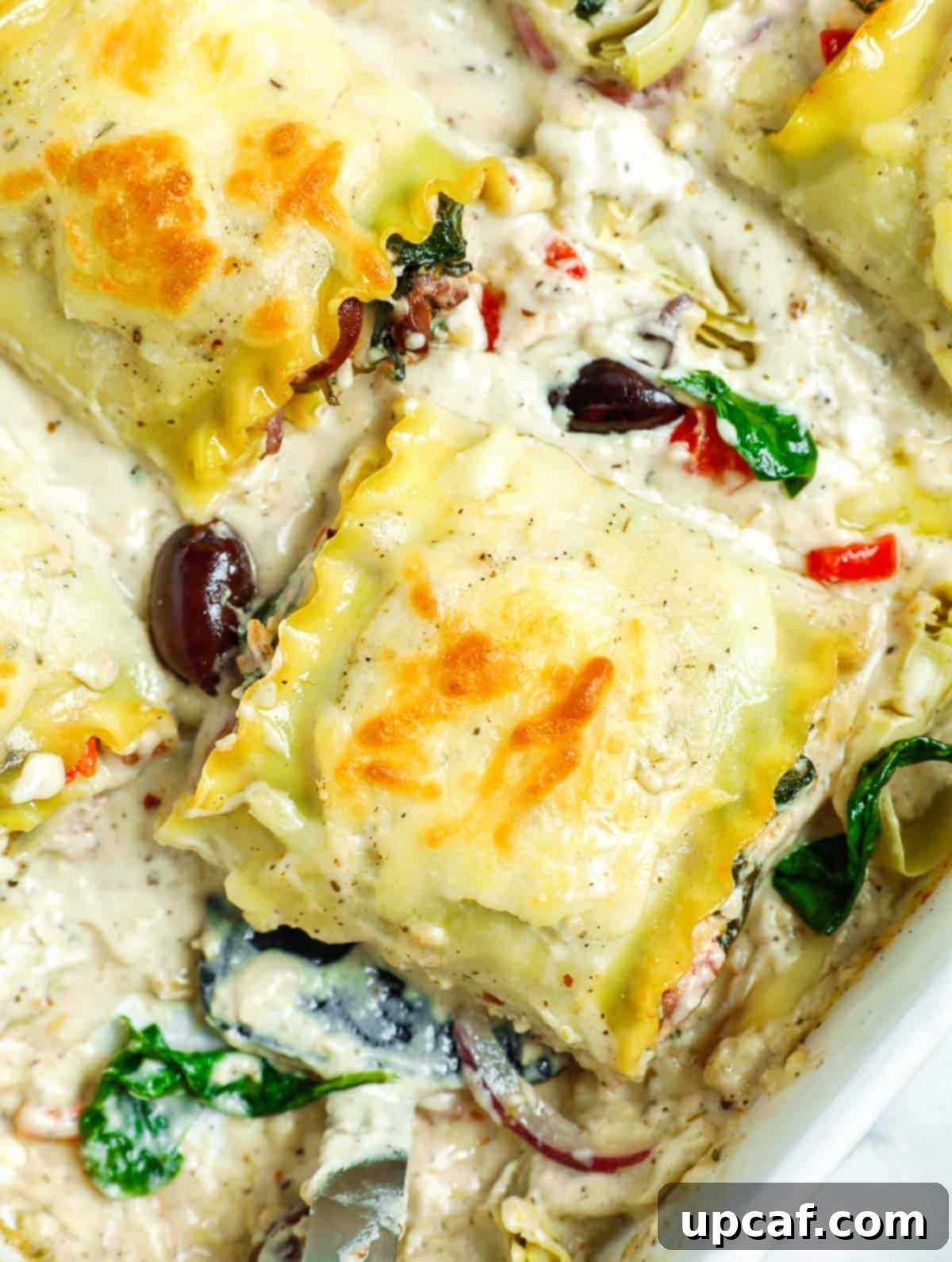 close up shot of a Greek White Alfredo Lasagna roll