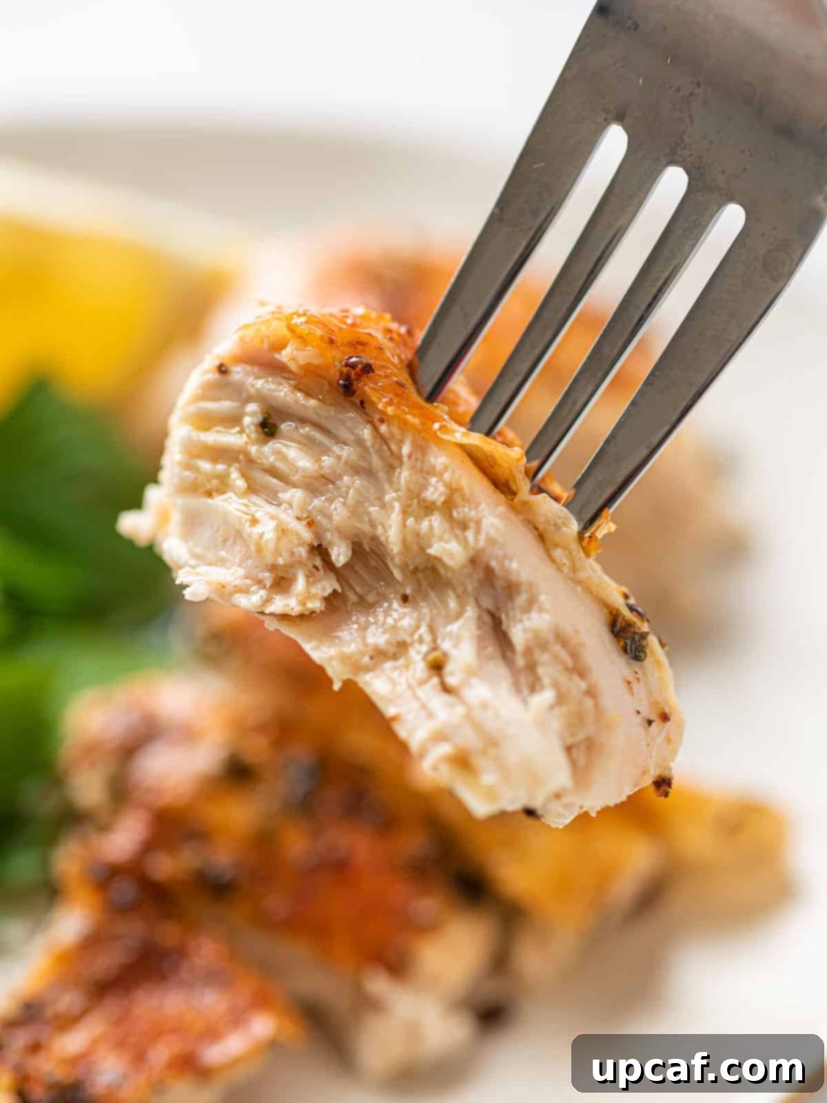 A fork holding a succulent piece of roasted chicken, showing its tender texture and delicious crust.
