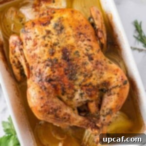 A whole roasted baked chicken in a baking dish.