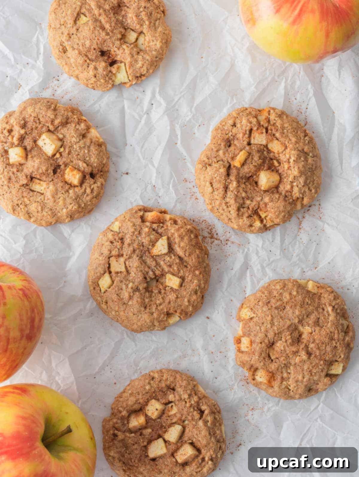 Cozy Apple Pie Cinnamon Oat Cookies 7 Multiple healthy apple pie oatmeal cookies on parchment paper, fresh out of the oven.