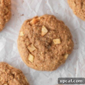 Cozy Apple Pie Cinnamon Oat Cookies 9 Overhead view of healthy apple pie oatmeal cookies.