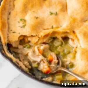 spoon in the pot pie skillet scooping the filling mixture