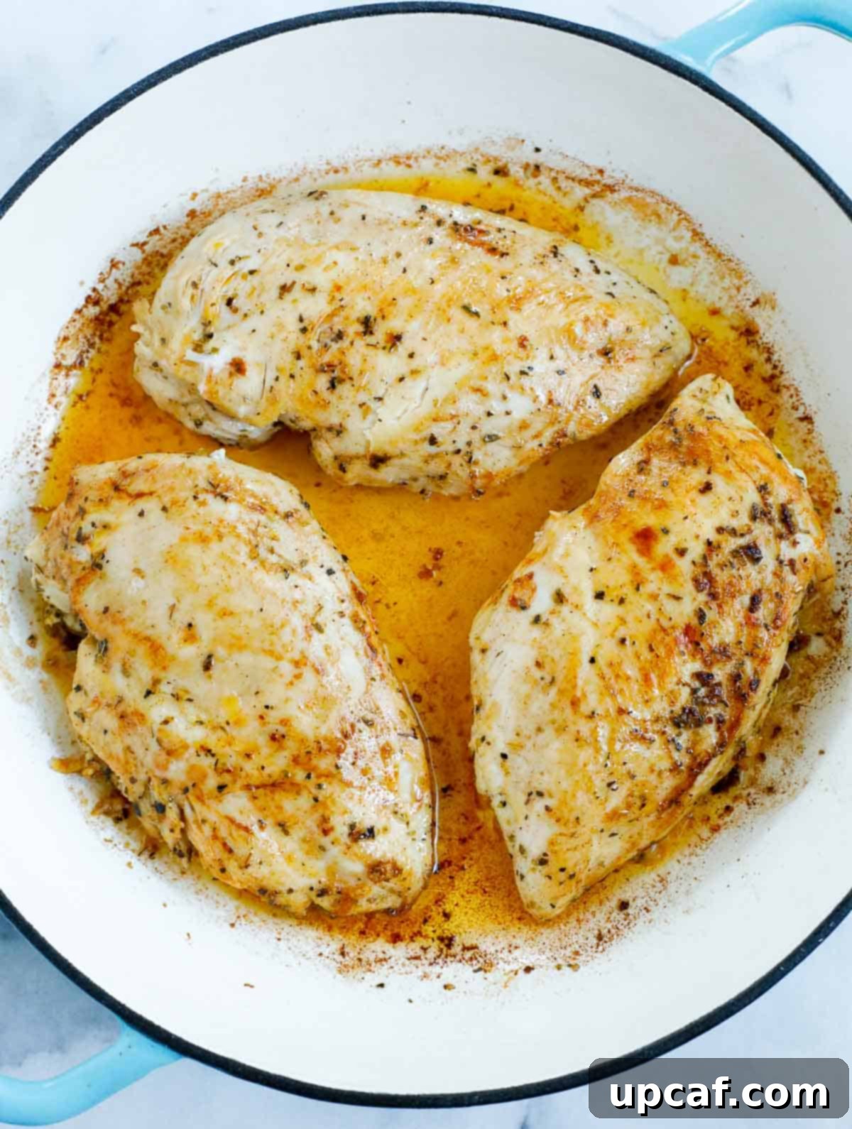 Sheet Pan Mediterranean Chicken Bake 5 Seared chicken breasts inside a Dutch oven, ready for the remaining ingredients.