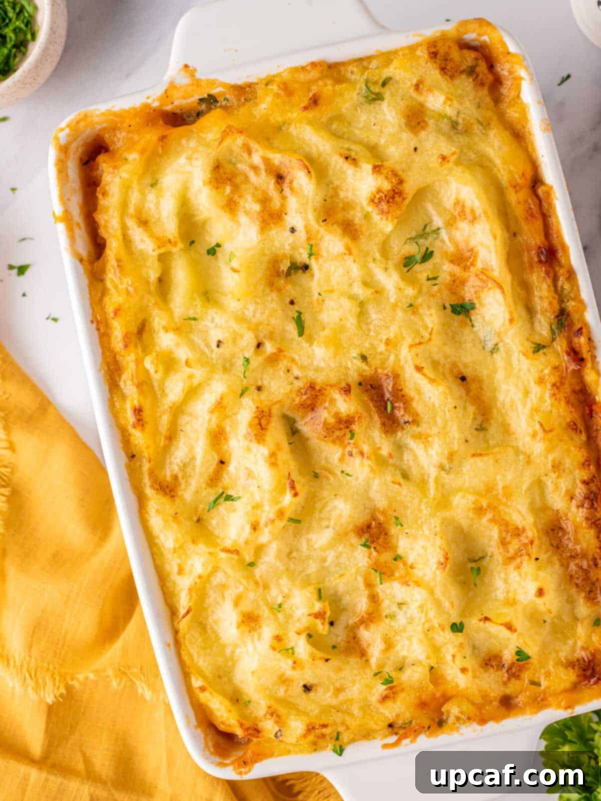 Golden-brown Chicken Shepherd's Pie in a white baking dish, garnished with fresh parsley.