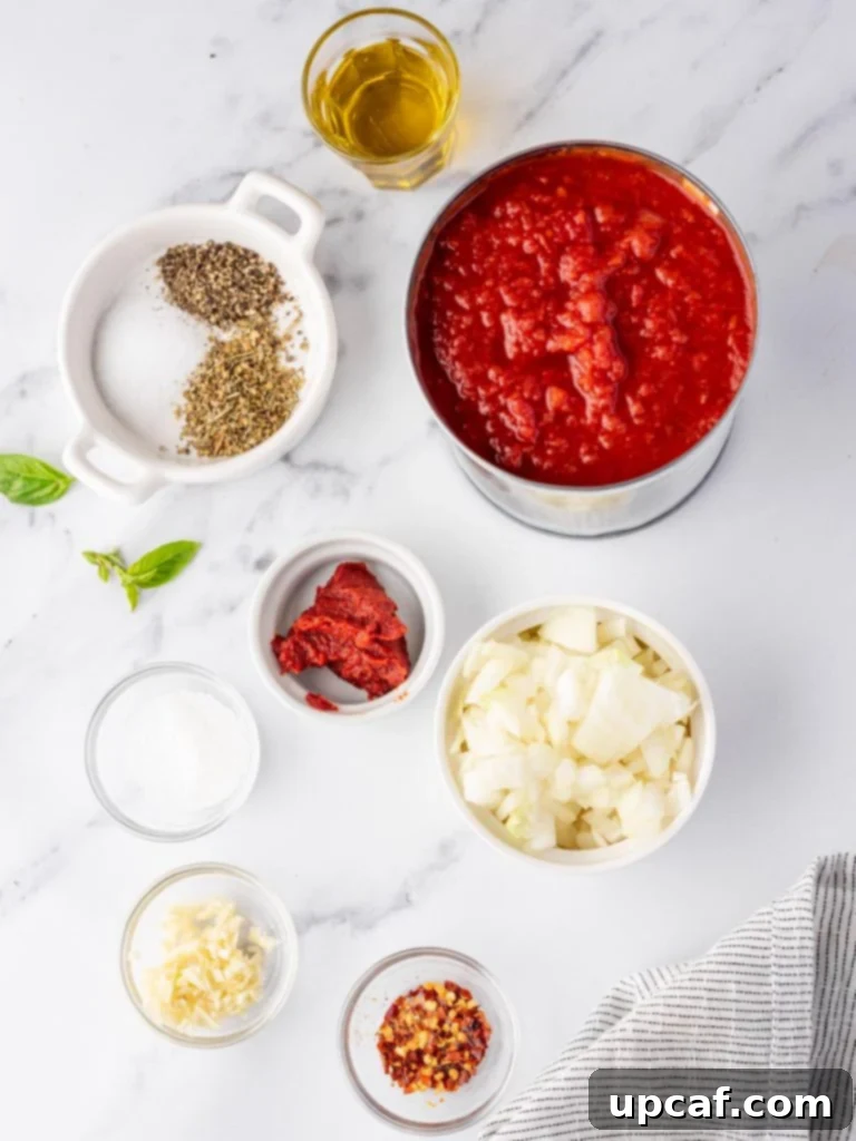 Individual ingredients neatly arranged for a homemade marinara sauce, featuring tomatoes, onions, garlic, and fresh basil.
