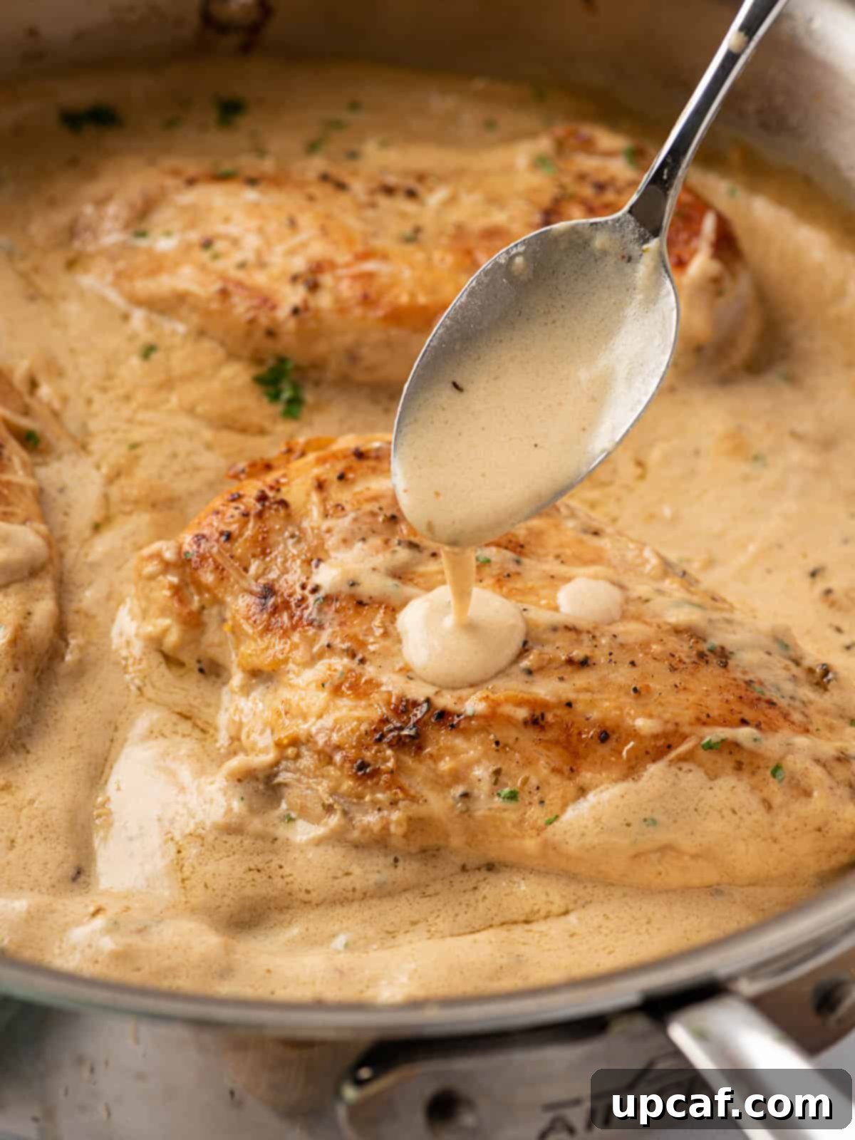 A spoonful of rich, creamy garlic parmesan sauce being drizzled over a golden-brown chicken breast, highlighting the dish's irresistible texture.