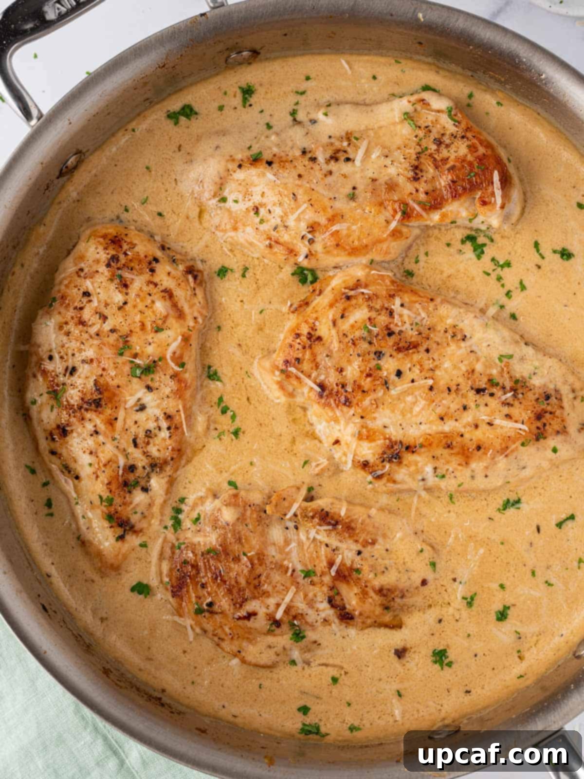 An overhead shot of a pan filled with beautifully browned chicken breasts submerged in a bubbling, rich creamy garlic parmesan sauce, garnished with fresh parsley.