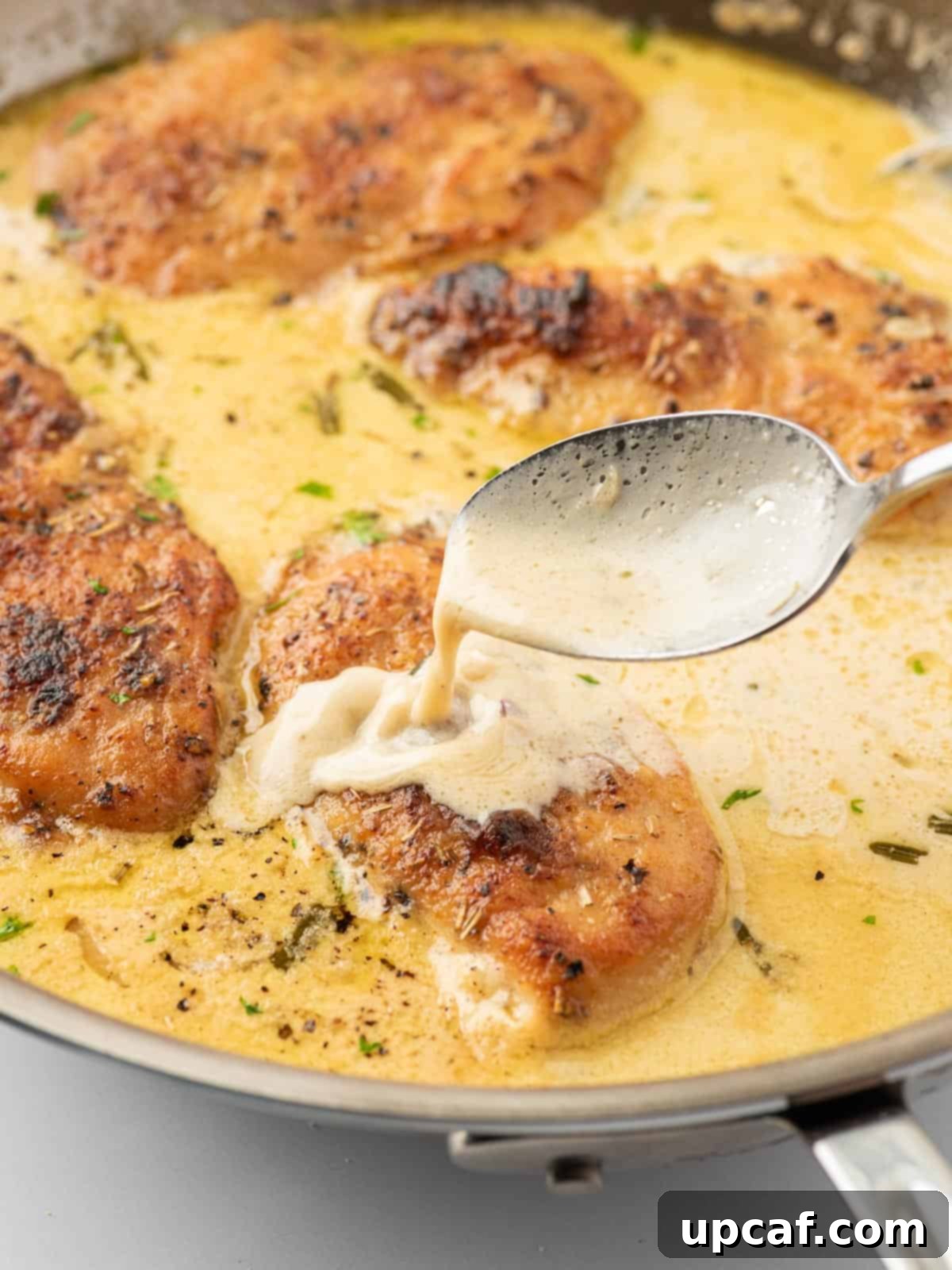 Mustard sauce spooned over crispy pan-seared chicken breast.