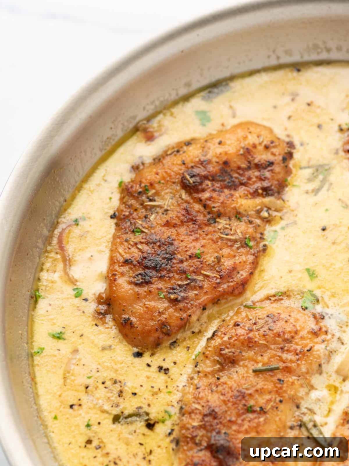 A pan filled with luscious creamy mustard chicken, ready to serve.