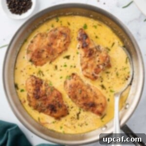 A pan of creamy mustard chicken with a spoon.
