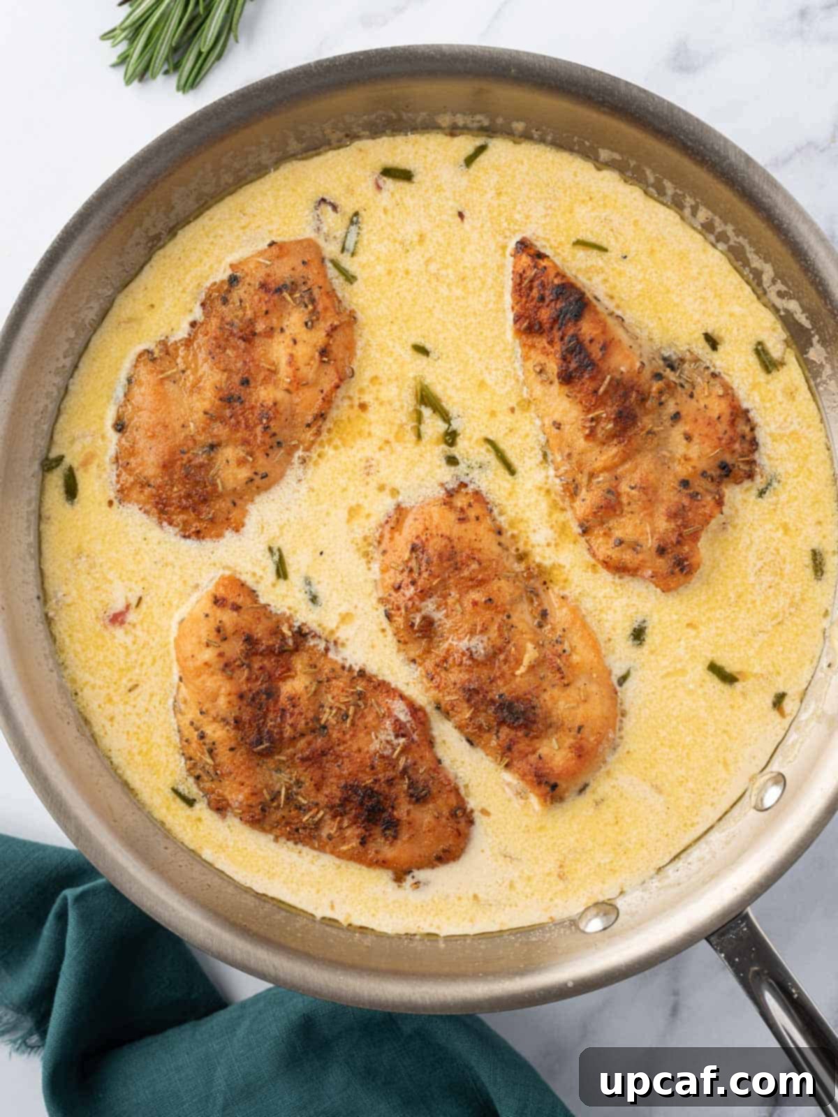 Seared chicken breasts returned to the skillet with the creamy mustard sauce.