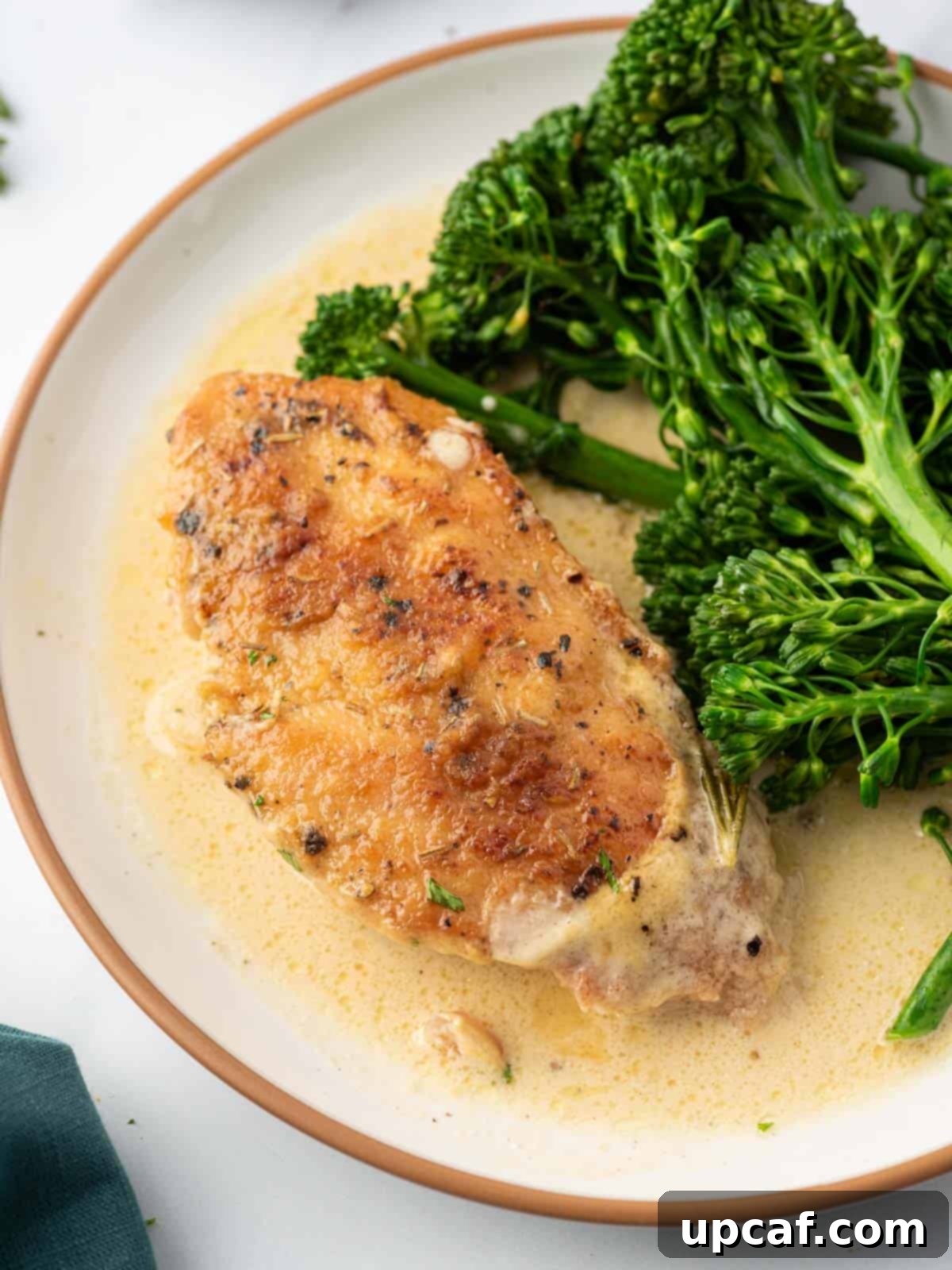 A plate of creamy mustard chicken served with vibrant broccolini.
