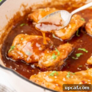 A spoon with a drizzle of honey garlic sauce over a chicken thigh,