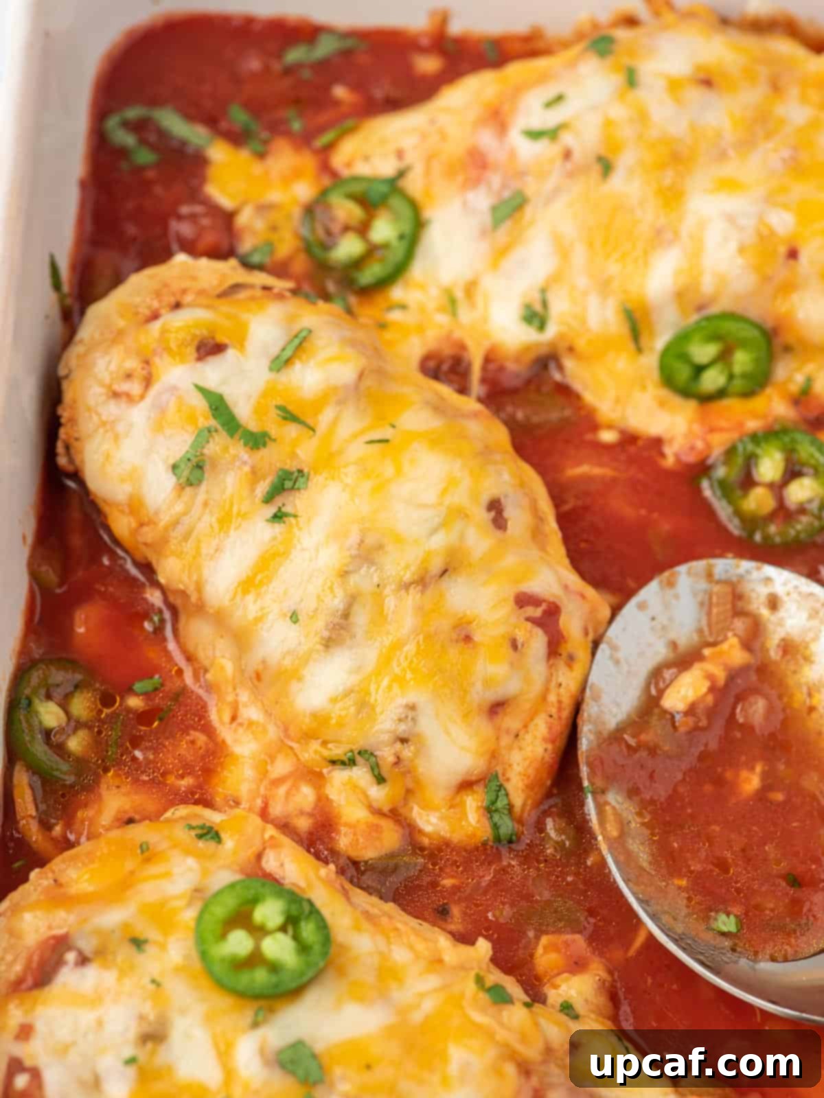 Close up of baked salsa chicken in a casserole dish, showing the texture of the melted cheese and salsa.