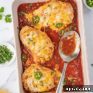 A baking dish with baked salsa chicken.