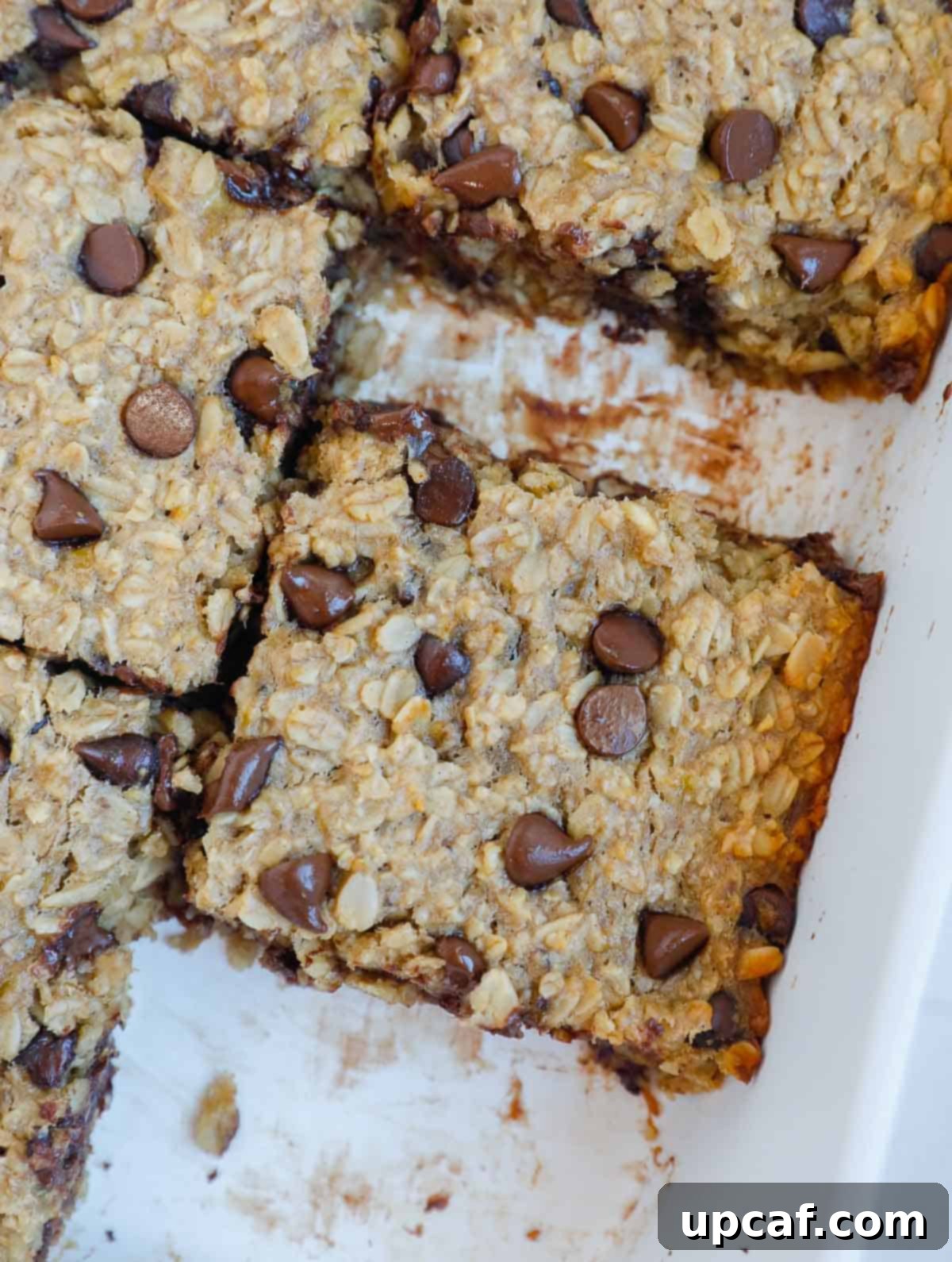 Perfectly baked squares of chocolate chip oatmeal visible in a baking dish, ready to be portioned and served.