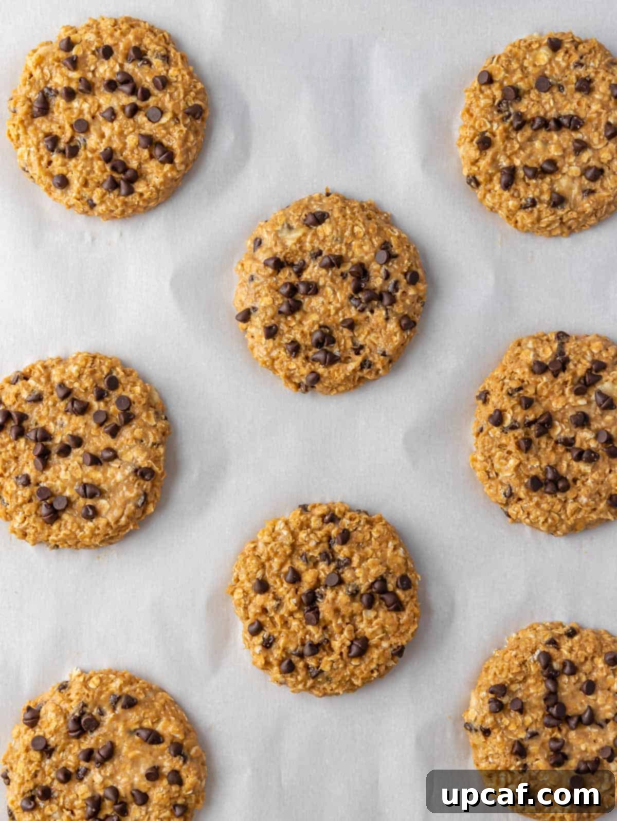 Overhead view of healthy chocolate chip oatmeal cookies on a parchment before baking.