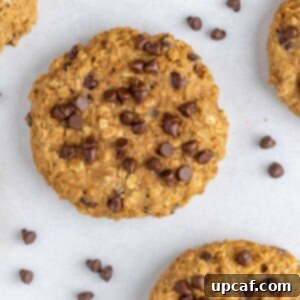 Overhead view of a healthy chocolate chip oatmeal cookie with chocolate chips scattered around.