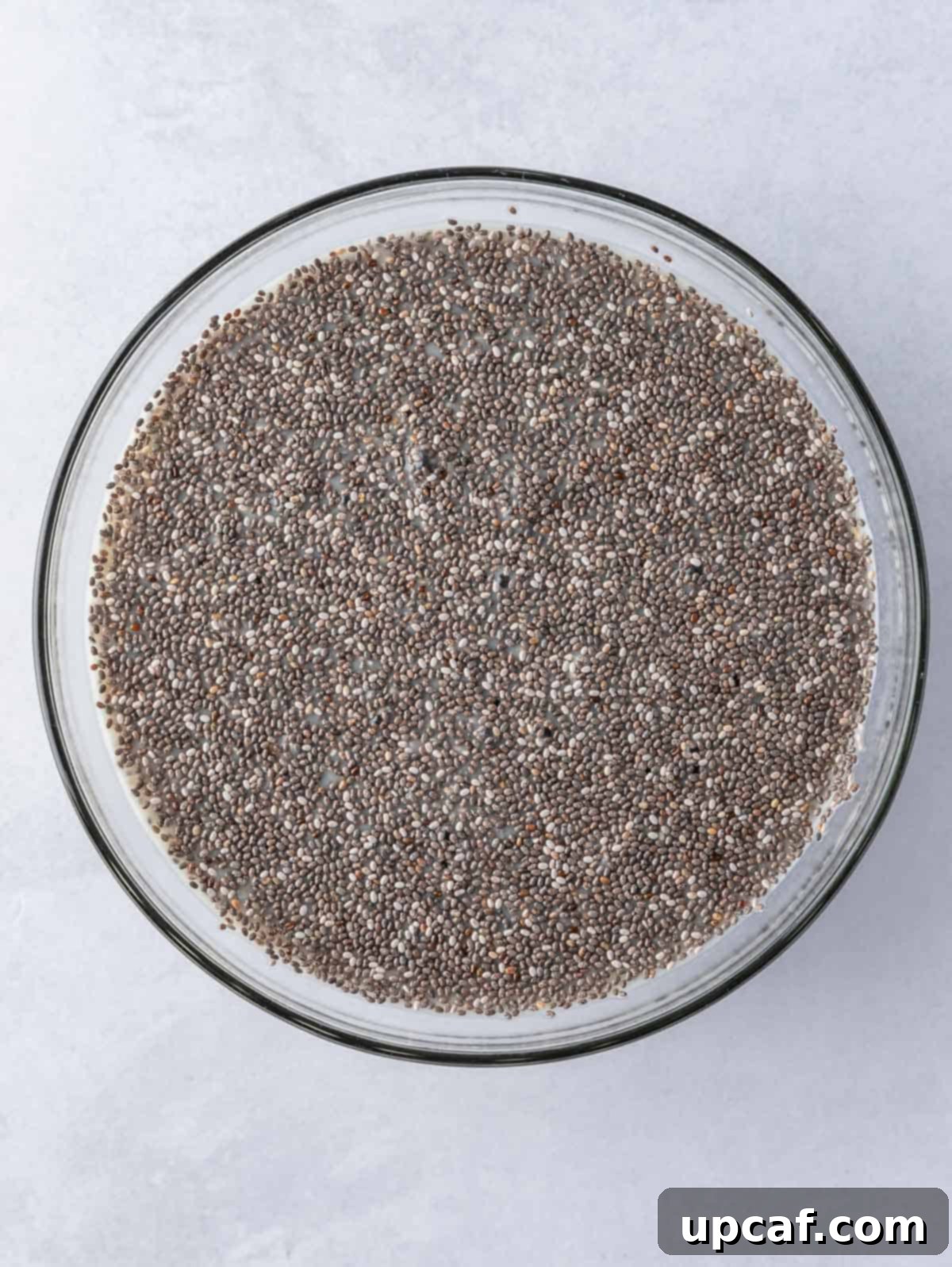 Creamy Strawberry Chia Pudding 4 A bowl of creamy chia pudding, ready for layering, showcasing its thick and smooth texture.