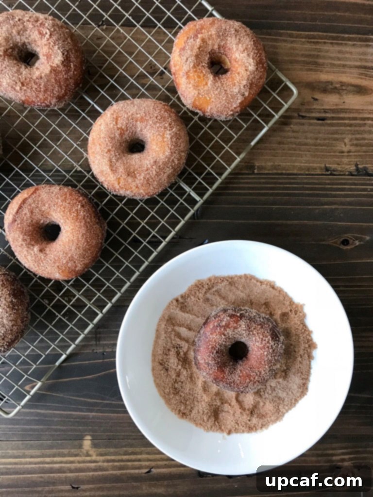Freshly fried Cinnamon Sugar Donut being coated generously in a dish of cinnamon sugar.