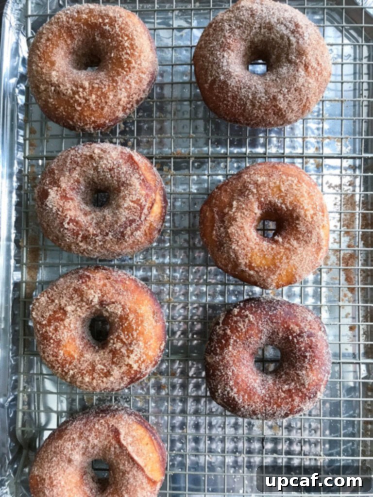 Freshly coated Cinnamon Sugar Donuts cooling on a wire rack.
