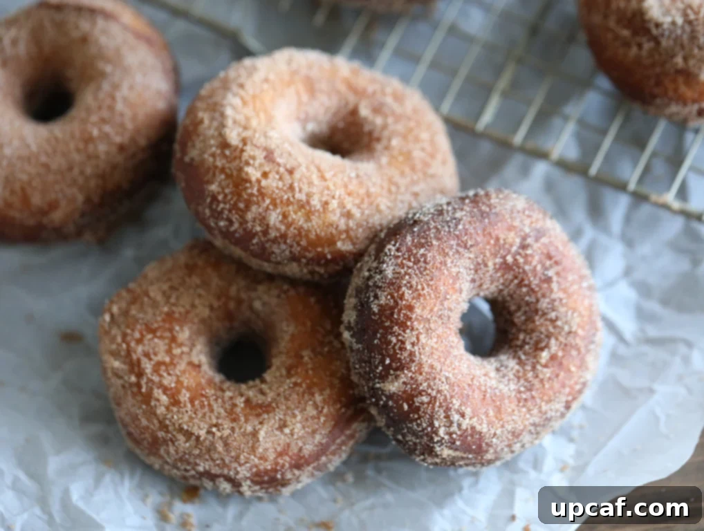 A batch of golden brown Cinnamon Sugar Donuts ready to be served.