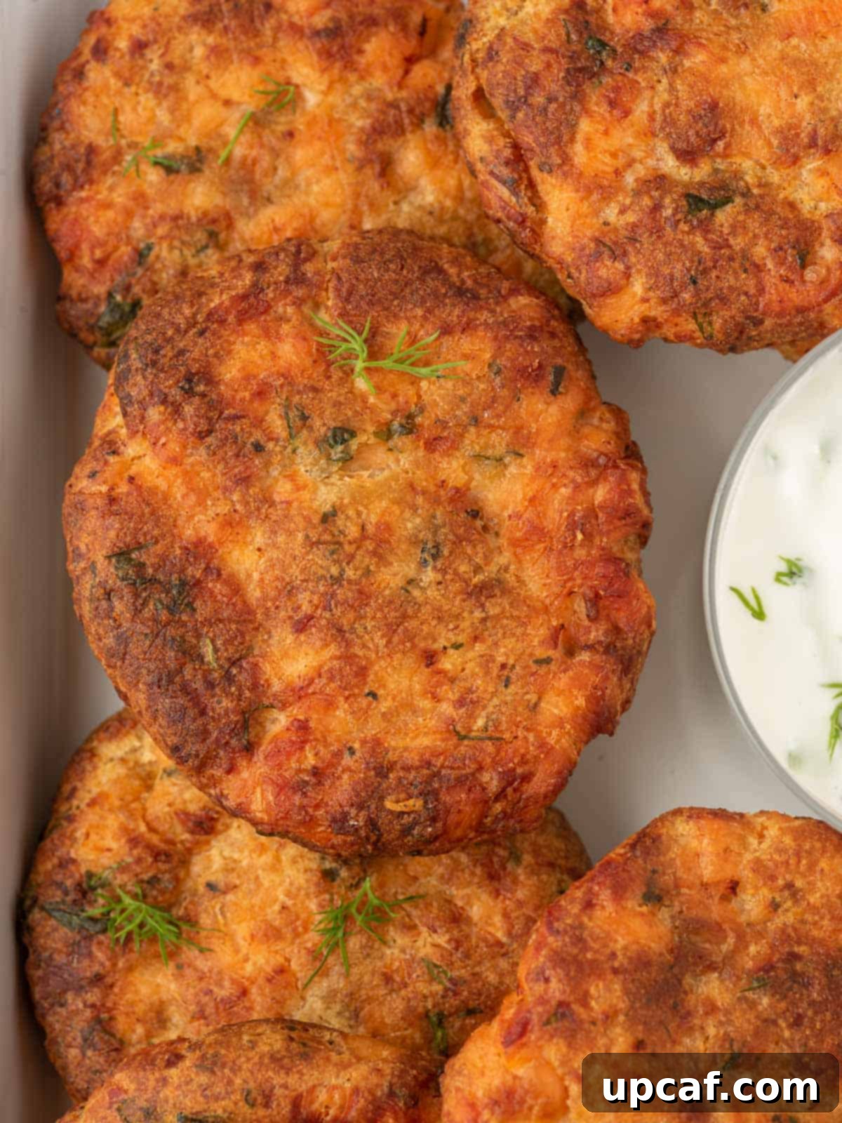 Closeup of air fryer salmon patties with bread crumbs.