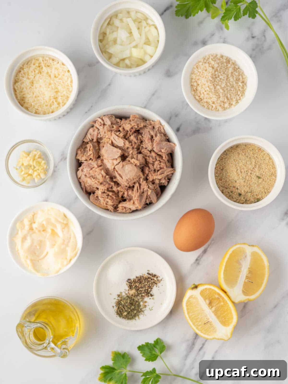 Ingredients laid out on a table, including a can of tuna, Parmesan cheese, breadcrumbs, onion, mayonnaise, lemon, garlic, and seasonings, for making parmesan crusted tuna patties.