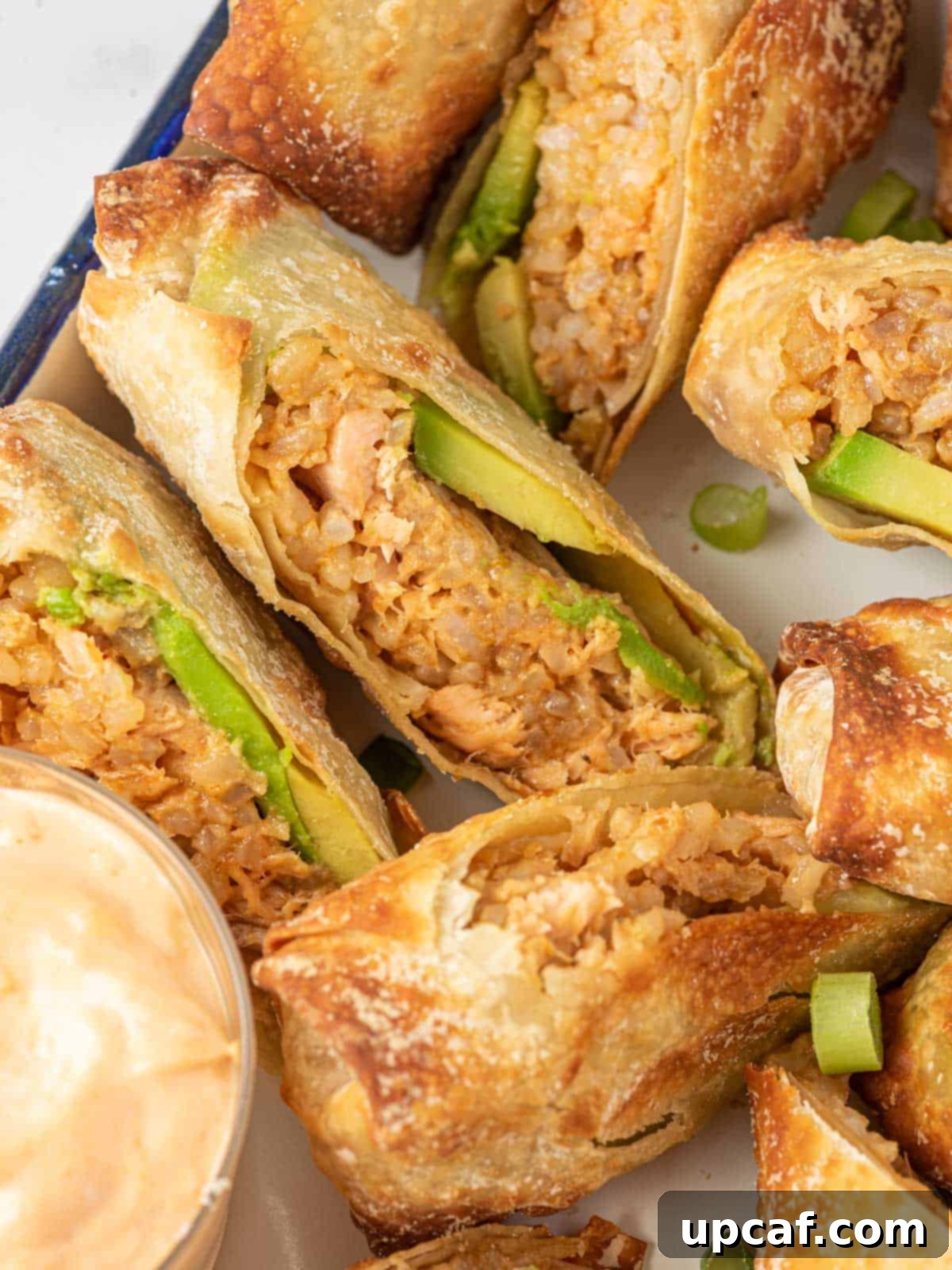 Closeup of spicy salmon and rice egg rolls cut in half on a plate.